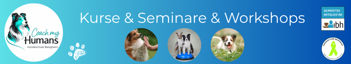 Kurse, Seminar & Workshops