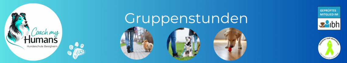 Gruppenstunden / Hundesport / Beschäftigung