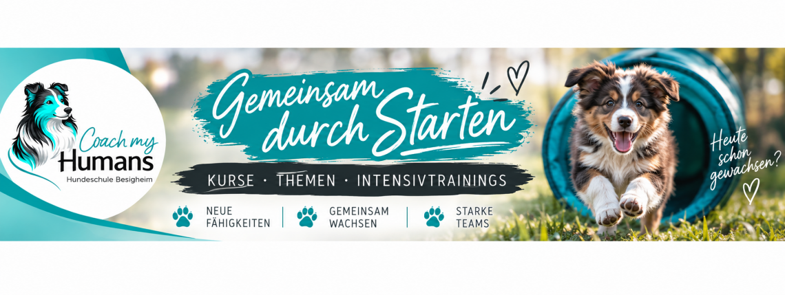 🐾 Gemeinsam durchSTARTen
