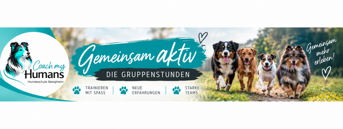 🐾 Gemeinsam aktiv