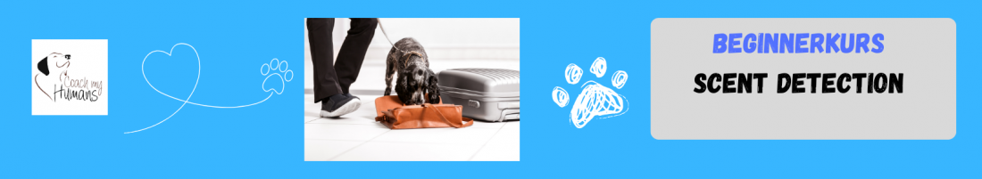 Nasenspaß Scent Detection für Beginner