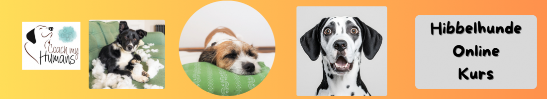 Hibbelhunde Online Kurs