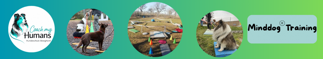 Minddog Training - Begegnungen, Orientierung & Vertrauen