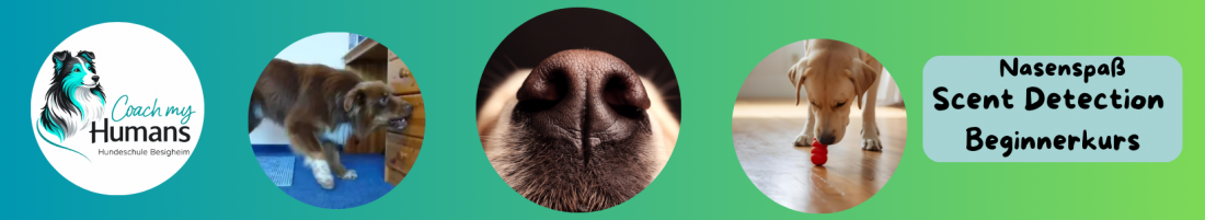 Nasenspaß Scent Detection für Beginner