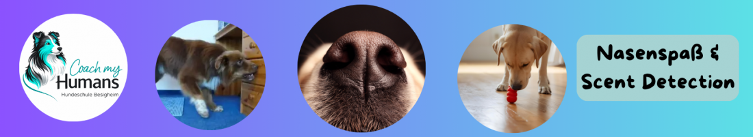 Nasenspaß & Scent Detection