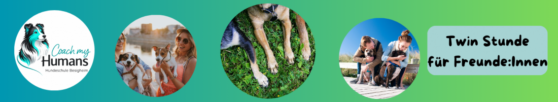 Twin-Stunde / Best-Friends Stunde