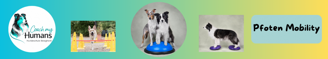 Pfoten Mobility