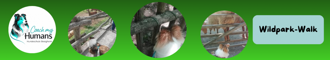 Wildpark-Walk mit Hund