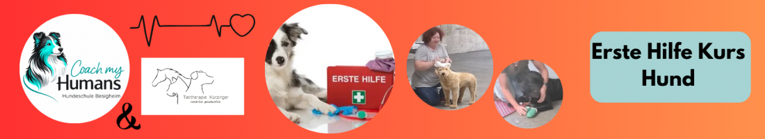 Erste Hilfe Kurs Hund