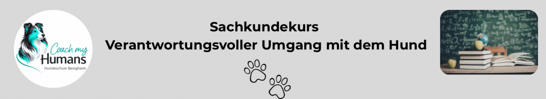 Sachkundekurs – Verantwortungsvoller Umgang mit dem Hund