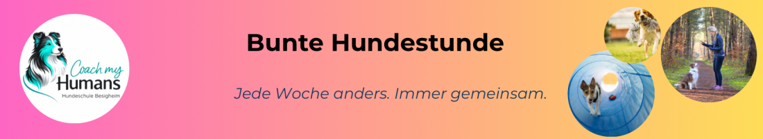 Bunte Hundestunde